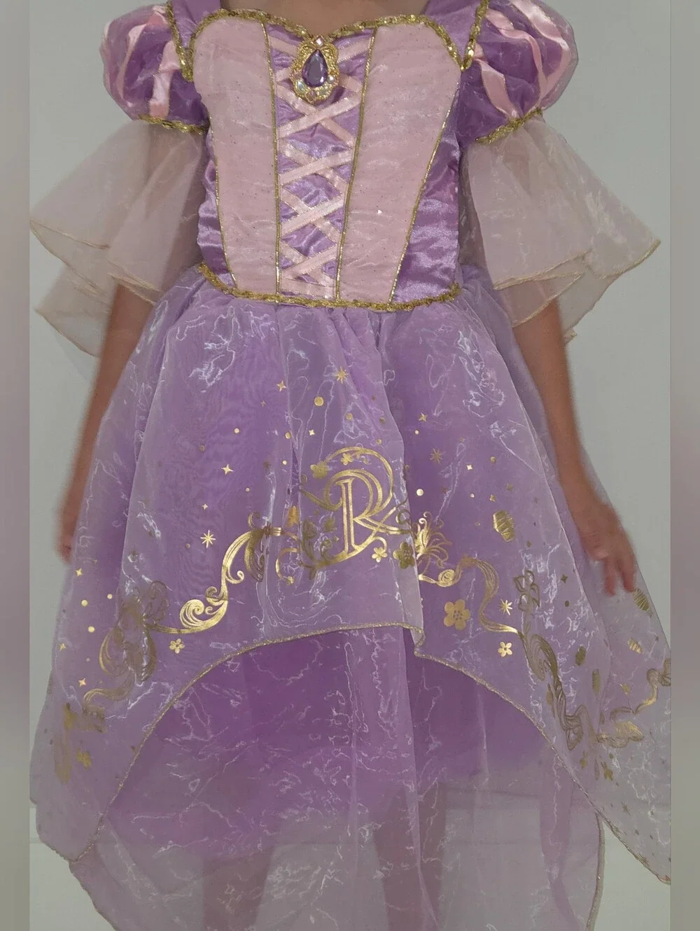 Repunzel Disney Purple and Gold Enchanted Princess Costume